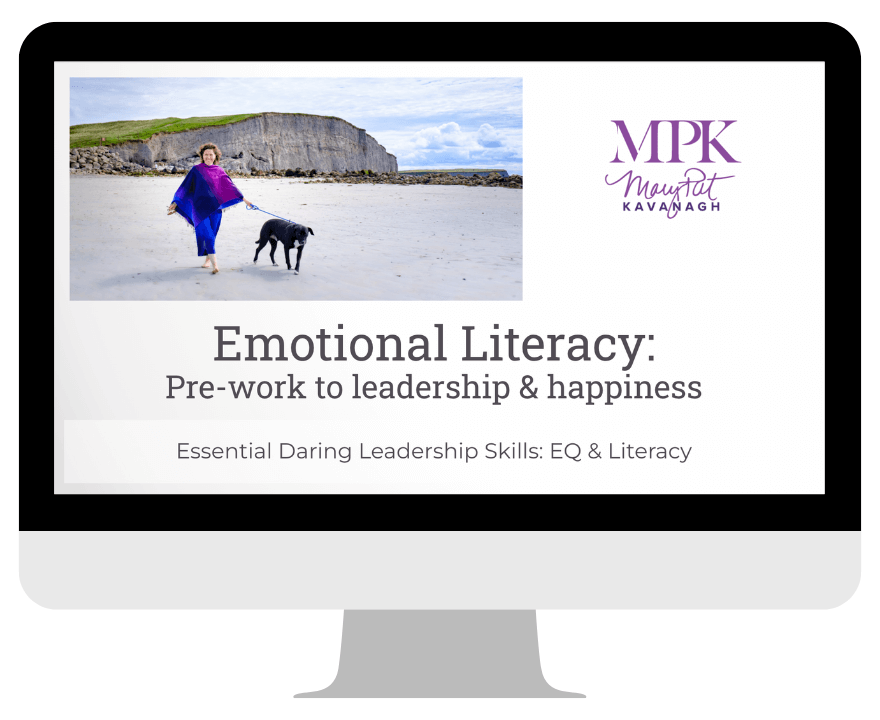 Emotional Literacy computer